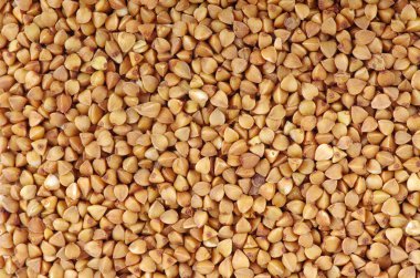 karabuğday yakın çekim