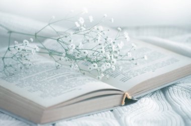 Sıcak kış natürmortu kitabı açtı. Bulanık