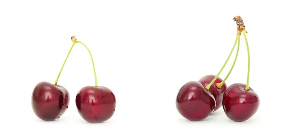 Sweet Cherry Isolated White — Stock Photo, Image