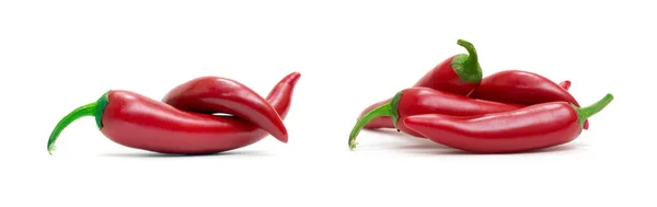 Red Hot Chili Pepper Isolated White Background — Stock Photo, Image