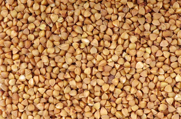 karabuğday yakın çekim