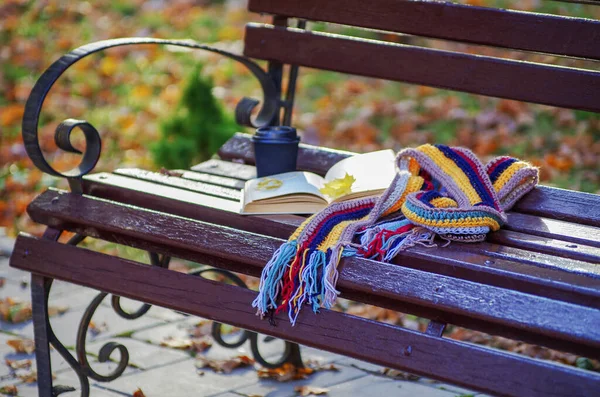 秋天公园木制长椅上的书和围巾 — 图库照片