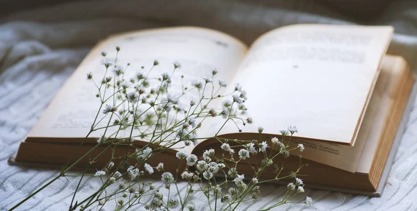 Уютный Зимний Натюрморт Открытая Книга — стоковое фото