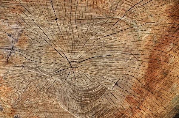 Δέντρο Δαχτυλίδια Παλιά Ξεπερασμένη Υφή Ξύλου Διατομή Ενός Κομμένου Κορμού — Φωτογραφία Αρχείου