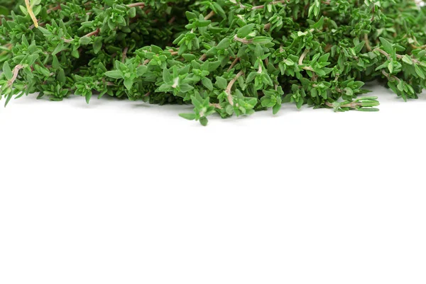 Thyme White Isolated Background — Stock Photo, Image