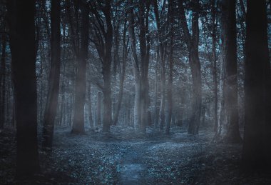 Geceleri soğuk ve karanlık bir orman yoluyla ışık yolu