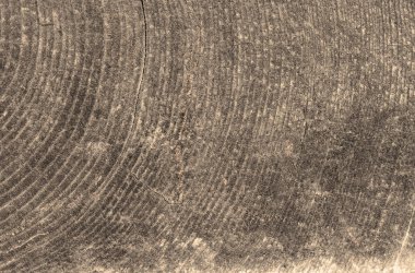 arkaplan için eski ahşap dokusu