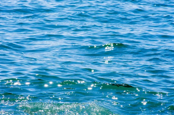 Azul Mar Água Fundo Textura — Fotografia de Stock