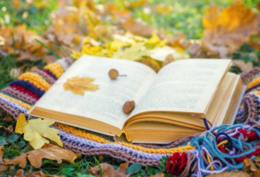 Autumn Park arkaplanı hakkında kitap aç.