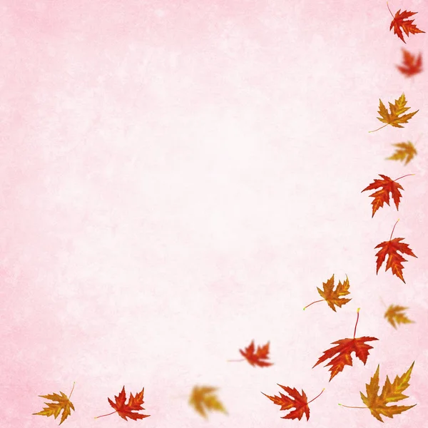 Grunge Background Autumn Foliage Copy Space Your Text — Stock Photo, Image