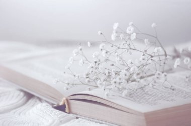 Sıcak kış natürmortu kitabı açtı. Bulanık