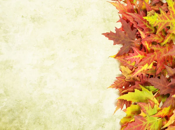 Grunge Background Autumn Foliage Copy Space Your Text — Stock Photo, Image