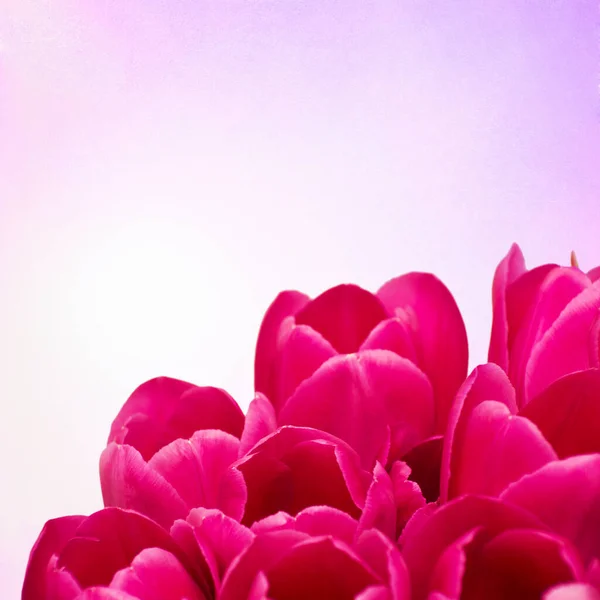 Bouquet Tulips Flowers Retro Background — Stock Photo, Image