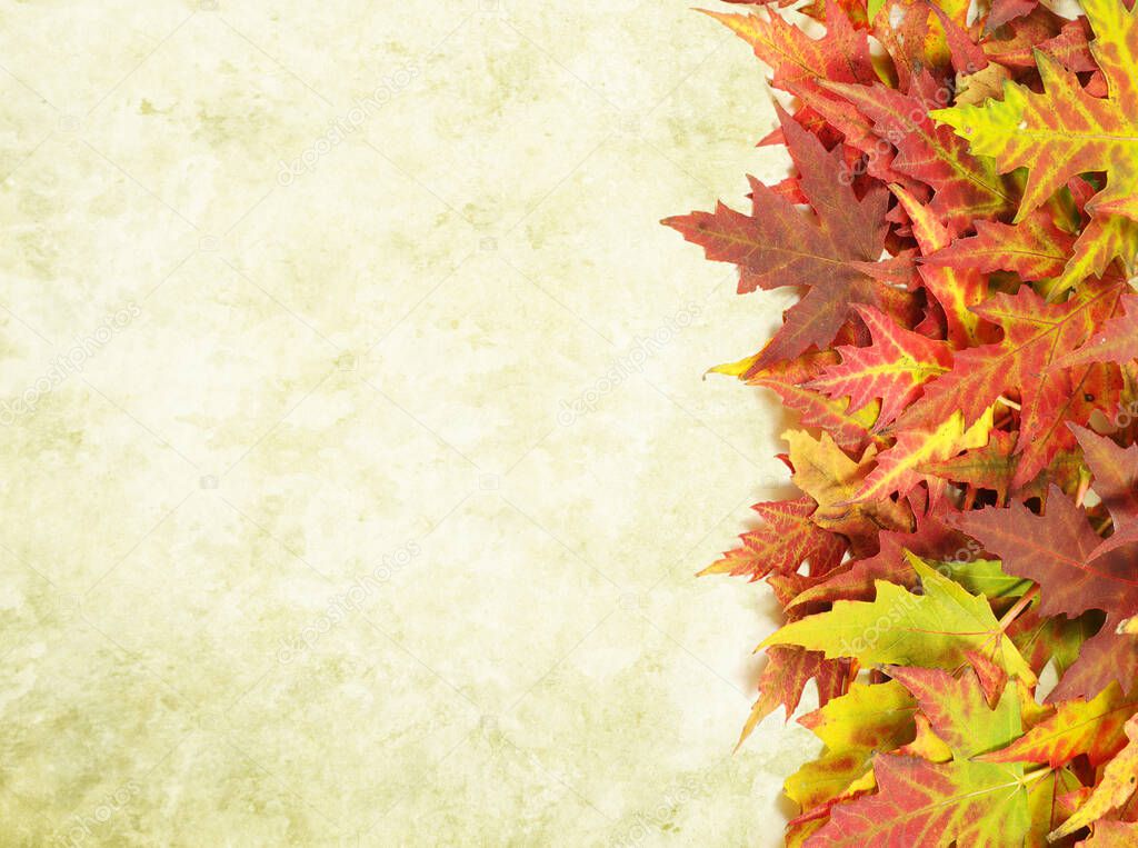 grunge background with autumn foliage and copy space for your text