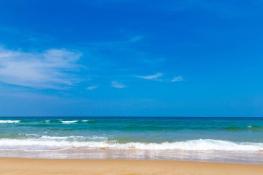 plaj ve tropikal deniz