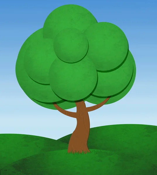 Tree Icon Isolated White Background — Stock Photo, Image