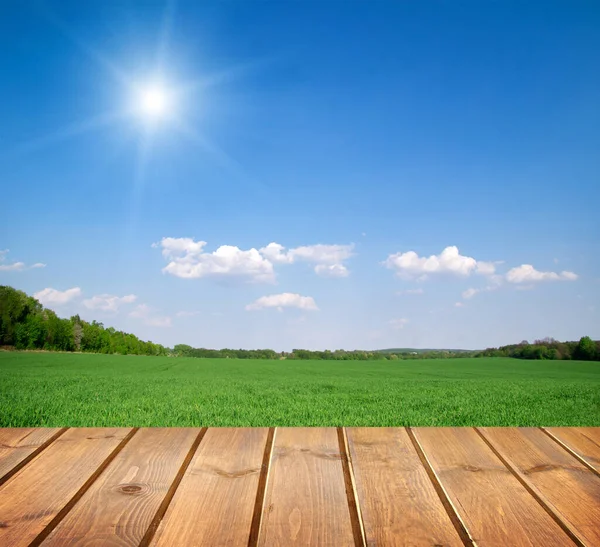 Grüne Wiese Unter Blauem Himmel Holzdielen — Stockfoto