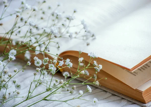 Sıcak kış natürmortu: açık kitap.