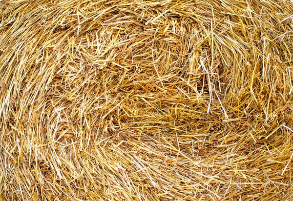 Fresh straw hay bales background Stock Photo