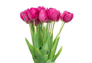 gelen Lale çiçek buketi beyaz izole