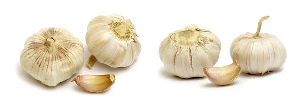 Knoblauch Isoliert Auf Weißem Hintergrund — Stockfoto