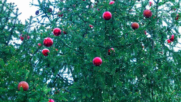 Details Zur Weihnachtsdekoration Weihnachtsbaum — Stockfoto