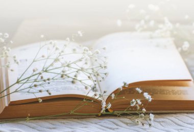 Sıcak kış natürmortu: açık kitap.
