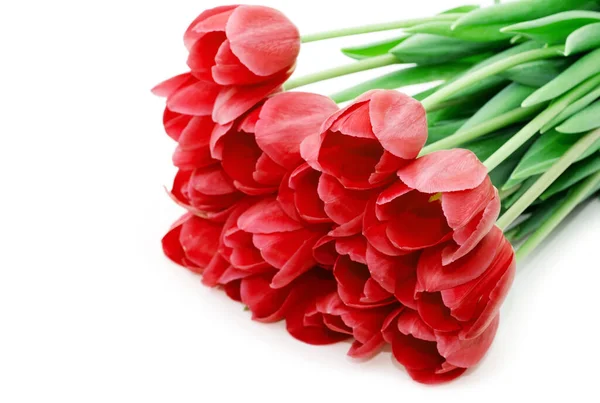 Bouquet Fiori Tulipani Isolati Bianco — Foto Stock