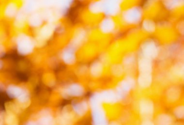 bulanık sonbahar arka plan