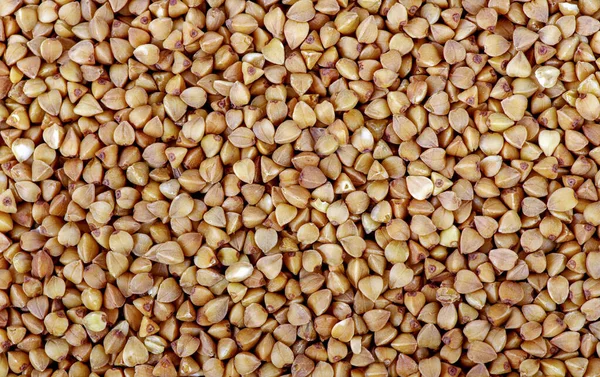 Karabuğday, kuru karabuğday arka planı. Karabuğday dokusu