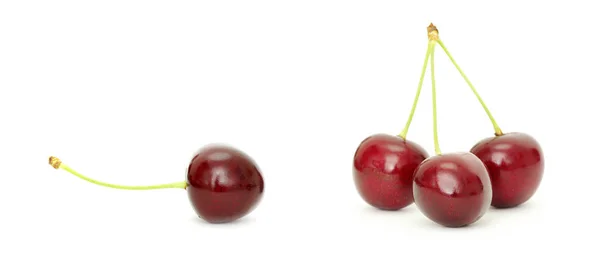 Sweet Cherry Isolated White — Stock Photo, Image