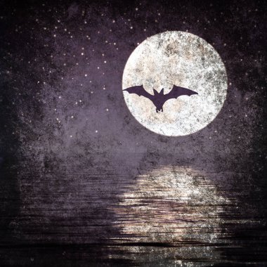 Dolunay ve deniz üzerine yıldız 