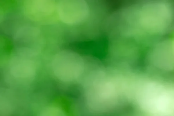 Groene Bokeh Achtergrond Uit Natuur Forest Onscherp — Stockfoto