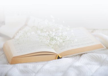 Sıcak kış natürmortu kitabı açtı. Bulanık