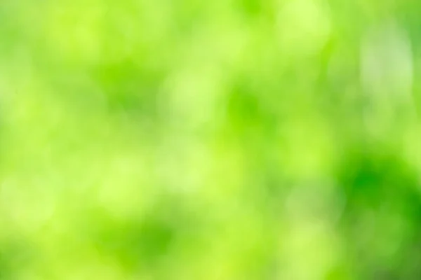 焦点が合っていない自然の森から緑ボケ背景 — ストック写真