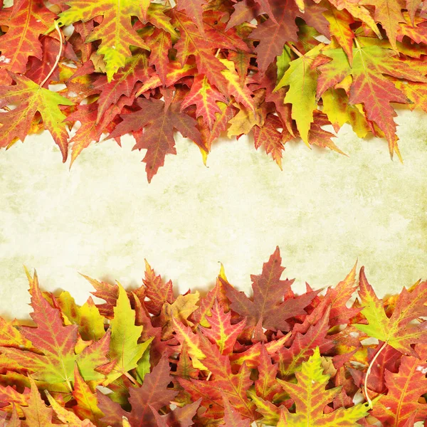 Grunge Hintergrund Mit Herbstlaub Und Kopierplatz Für Ihren Text — Stockfoto