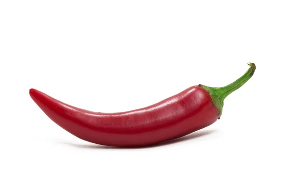 Röd Varm Chili Peppar Isolerad Vit Bakgrund — Stockfoto