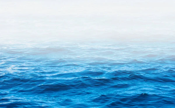 นหล าทะเลส าเง — ภาพถ่ายสต็อก