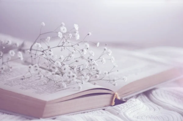 Cozy Winter Still Life Opened Book Blurred — Stock Photo, Image