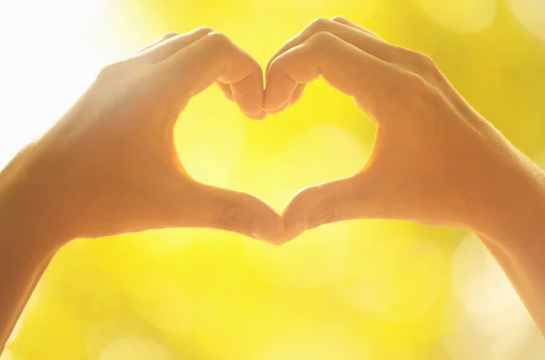 Female Hands Heart Shape Nature Sun Light Flare Blur Leaf — Stock Photo, Image