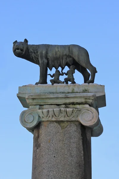 Capitoline Wolf — Stock Photo, Image