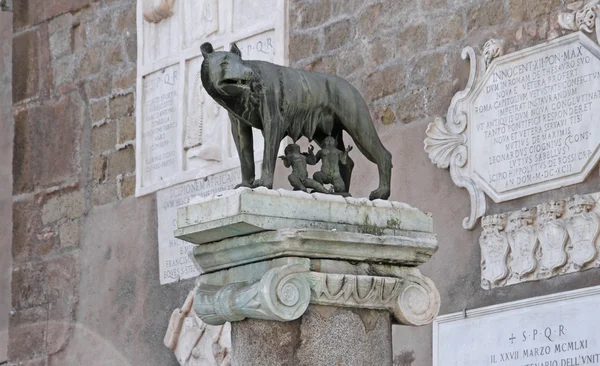 Capitoline Wolf — Stock Photo, Image