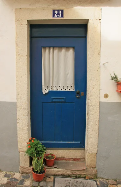 Alte tür (portugal)) — Stockfoto