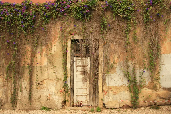 Oude deur (portugal) Stockfoto