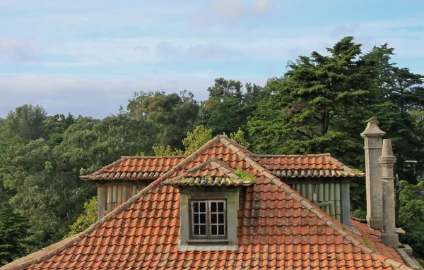 Ziegeldach in Lissabon (Portugal)) — Stockfoto