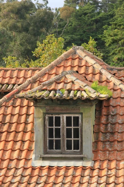 Ziegeldach in Lissabon (Portugal)) — Stockfoto