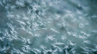 Kışın kar kristali