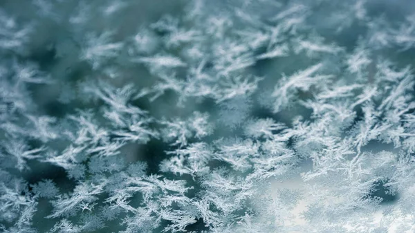 Kışın kar kristali