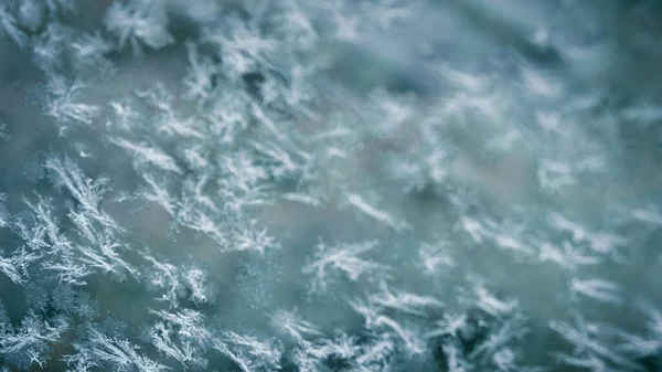 Kışın kar kristali