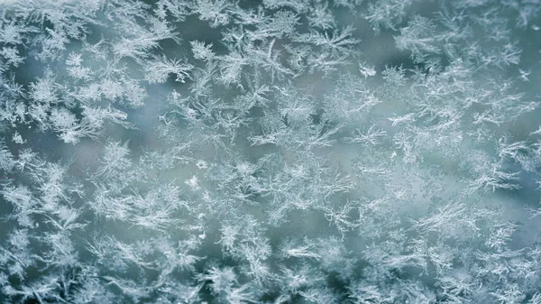 Snow Crystal Winter — Stock Photo, Image